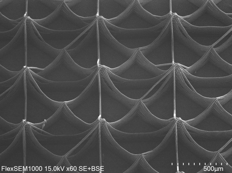 MEW microfiber lattice scaffold at 60x magnification showing fiber detail