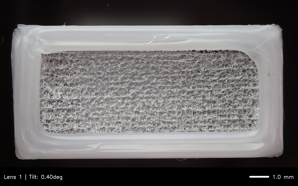 Fabricated tissue construct in standard well plate for drug screening